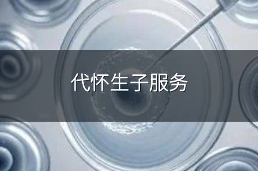 代怀生子服务