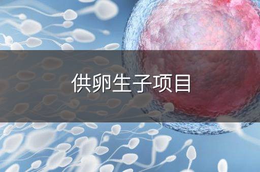 供卵生子项目