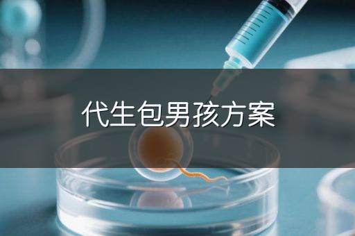 代生包男孩方案