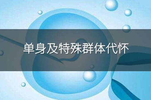 单身及特殊群体代怀