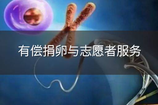 有偿捐卵与志愿者服务